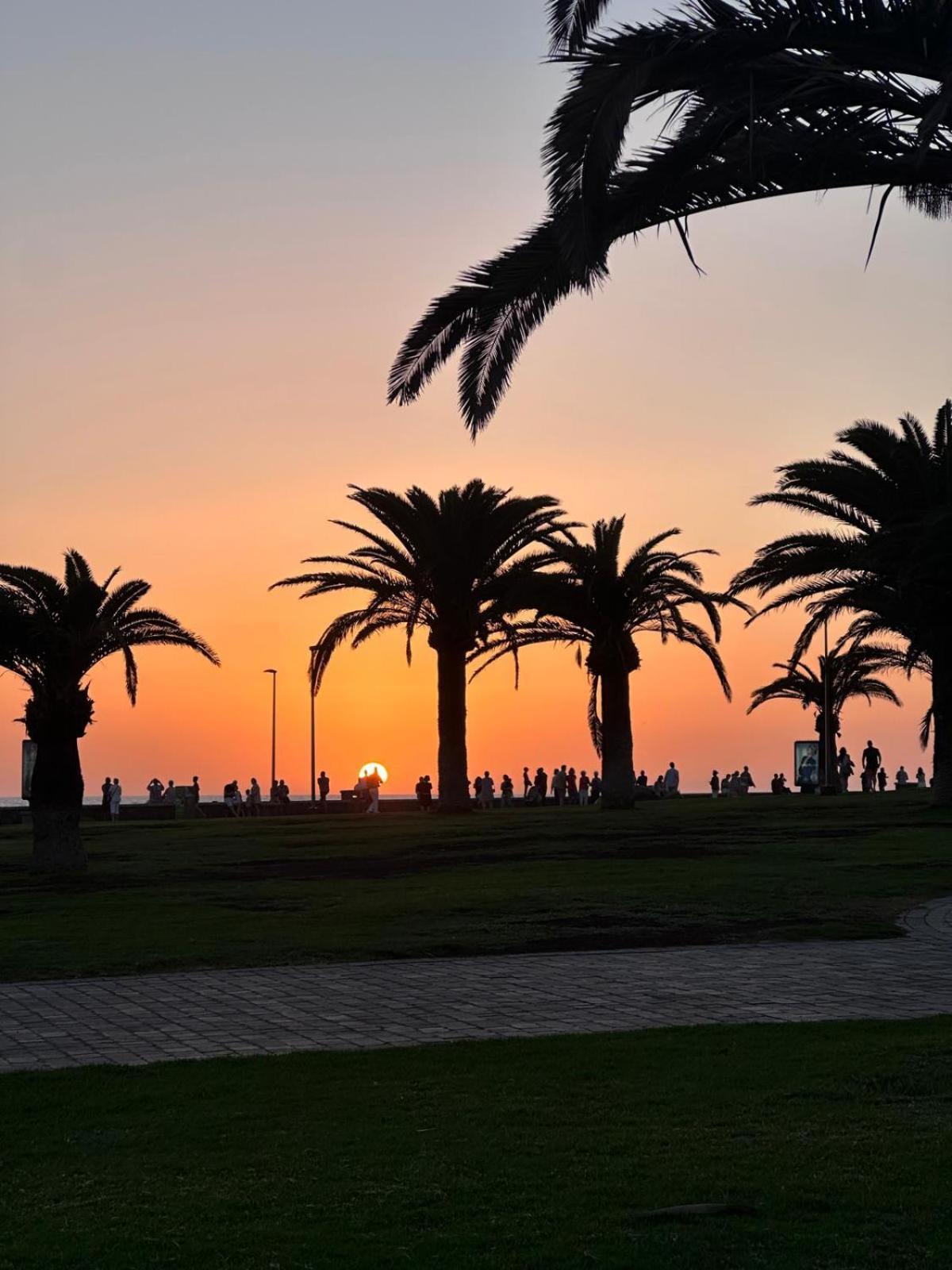 Bungalow Oasis Canaria Maspalomas  Zewnętrze zdjęcie