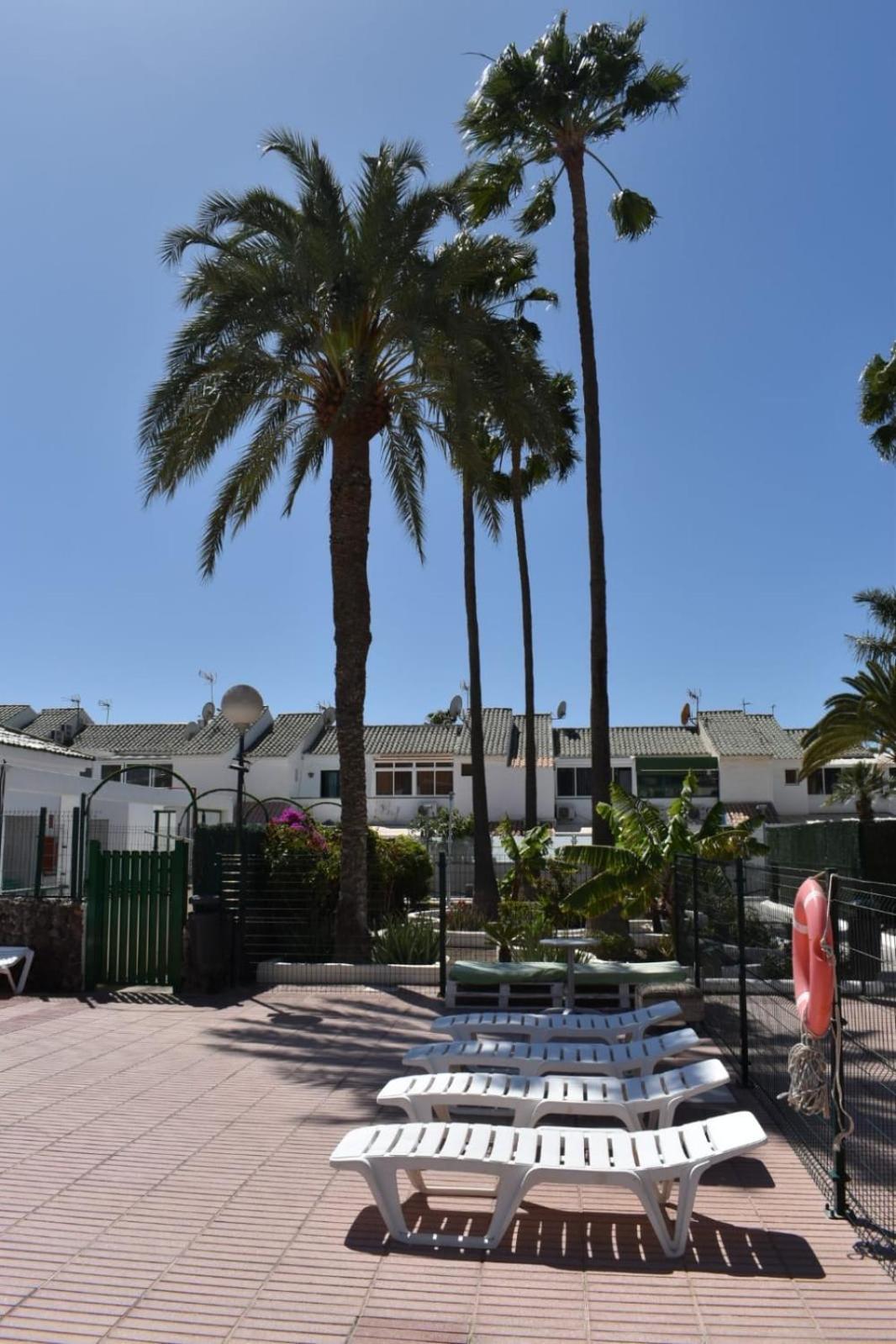 Bungalow Oasis Canaria Maspalomas  Zewnętrze zdjęcie