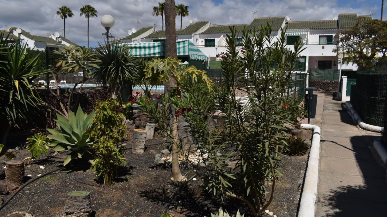 Bungalow Oasis Canaria Maspalomas  Zewnętrze zdjęcie